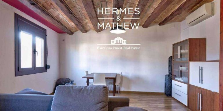 piso-en-venta-en-el-raval- piso-con-boveda-catalana-ladrillo-visto-y-luz-natural-en-finca-historica-de-1900-salon-4