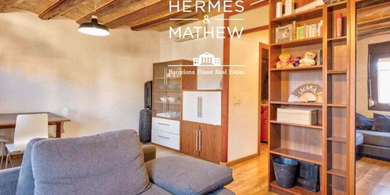 piso-en-venta-en-el-raval- piso-con-boveda-catalana-ladrillo-visto-y-luz-natural-en-finca-historica-de-1900-salon-7