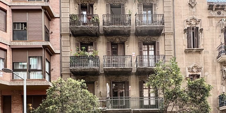 nop6